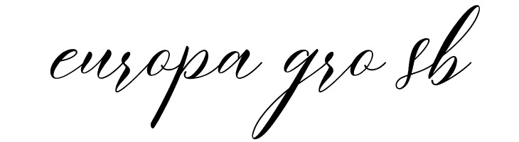 MeethaScriptDemo  Free Fonts Download