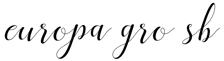 MenttionScript  Free Fonts Download