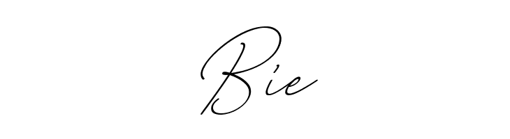 August Script Bold free  Free Fonts Download
