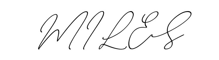 August Script Bold free  Free Fonts Download