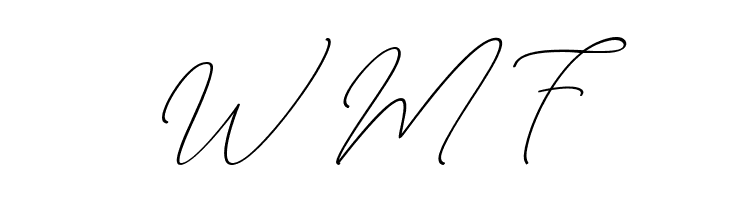August Script Bold free  Free Fonts Download