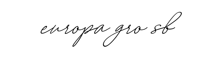 August Script Bold free  Free Fonts Download