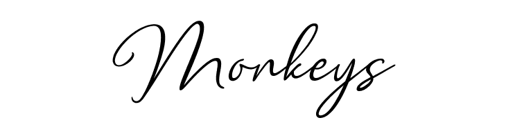 Clarity free  Free Fonts Download