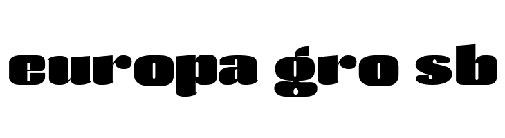 Agustina-Heavy  Free Fonts Download