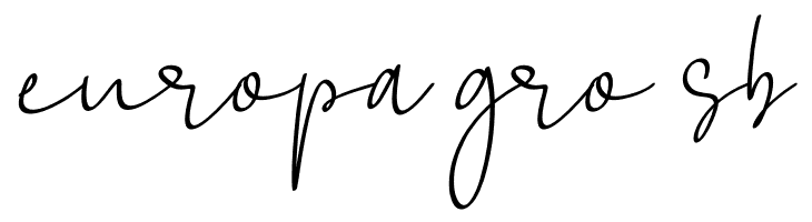 La Lune  Free Fonts Download