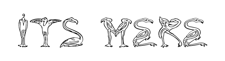 JF Flamingo  Free Fonts Download