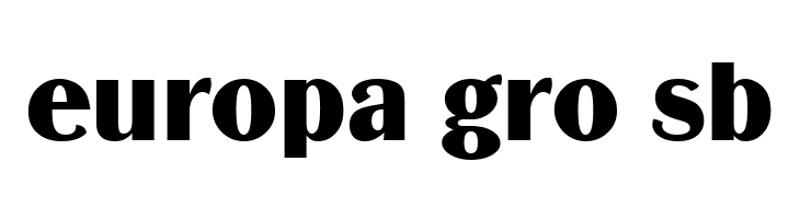 BinnerD  Free Fonts Download
