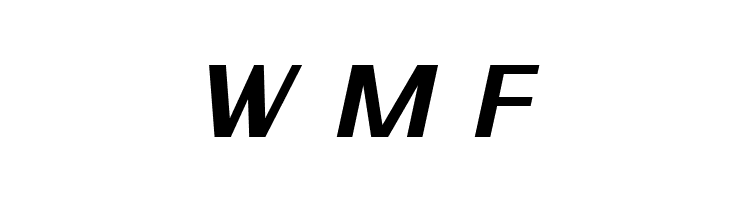 SF Theramin Gothic Bold Oblique  Free Fonts Download