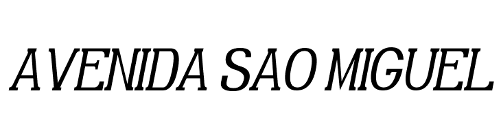 Gabriel Serif Condensed Italic  Free Fonts Download