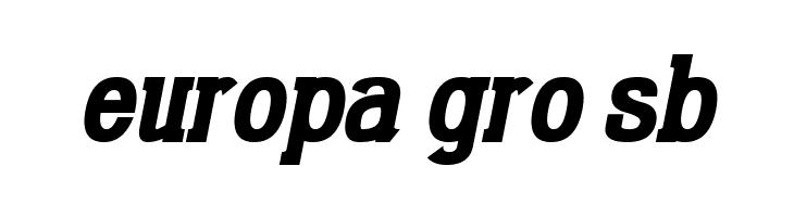 Gabriel Serif Condensed Bold Italic  Free Fonts Download