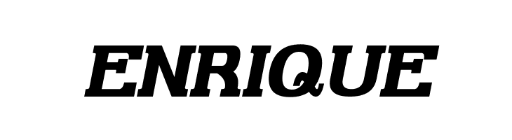 Gabriel Serif Bold Italic  Free Fonts Download