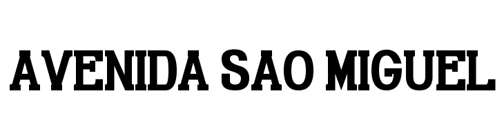 Gabriel Serif Condensed Bold  Free Fonts Download