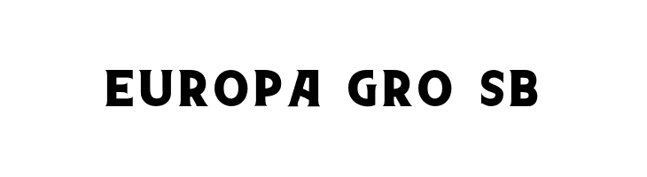 Northon [Demo]  Free Fonts Download
