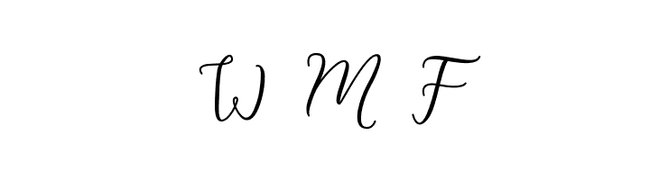 Michel Flow  Free Fonts Download