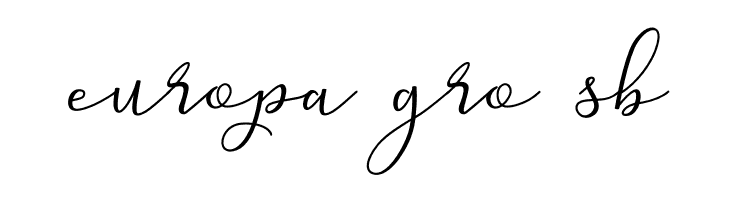 Michel Flow  Free Fonts Download