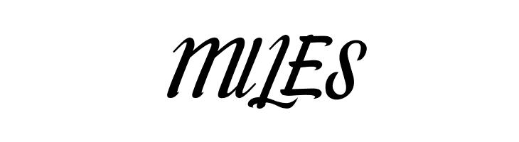 Willona Italic - PU Italic  Free Fonts Download