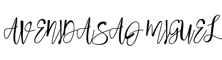 Hafizan Script  Free Fonts Download