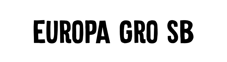 Silent Echo DEMO Regular  Free Fonts Download