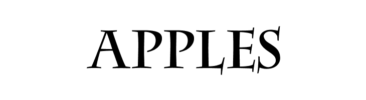 DS CenturyCapitals  Free Fonts Download