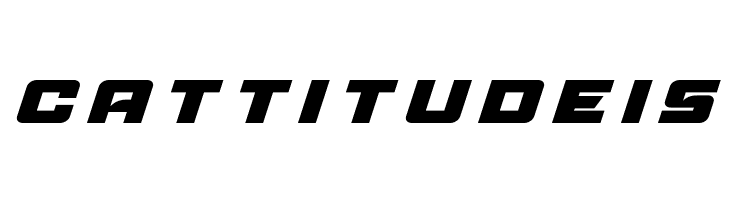 Aircruiser Title Italic  Free Fonts Download