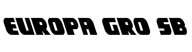 Camp Justice Leftalic  Free Fonts Download