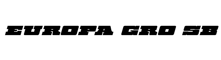 Chicago Express Expanded Italic  Free Fonts Download