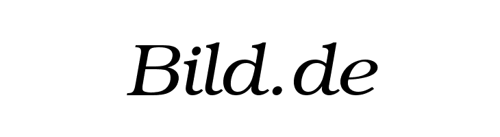 ER Bukinist 866 Italic  Free Fonts Download