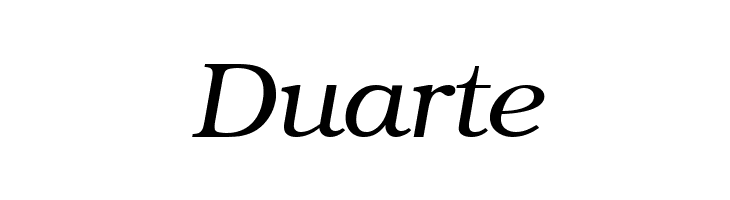 ER Bukinist 866 Italic  Free Fonts Download