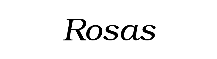 ER Bukinist 866 Italic  Free Fonts Download