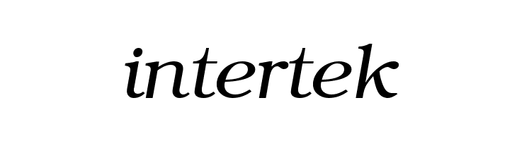 ER Bukinist 866 Italic  Free Fonts Download