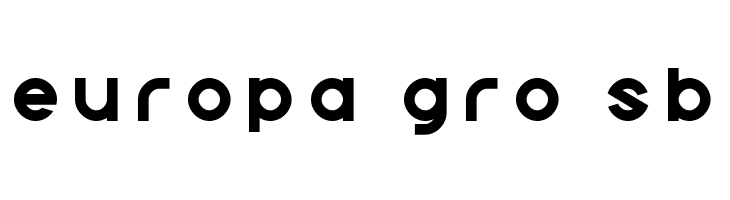 Echo Station Title  Free Fonts Download