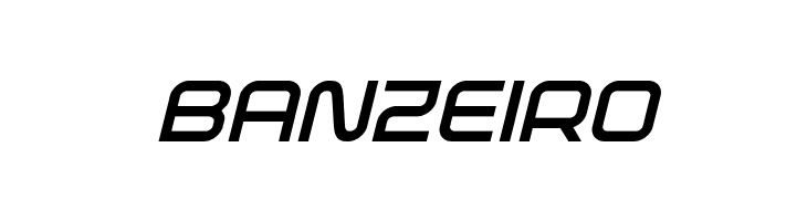 Fox on the Run Bold Italic  Free Fonts Download