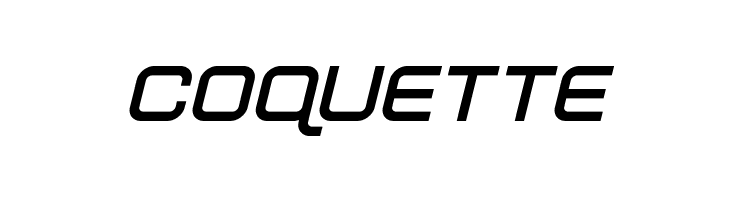 Fox on the Run Bold Italic  Free Fonts Download