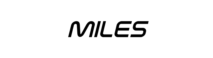 Fox on the Run Bold Italic  Free Fonts Download