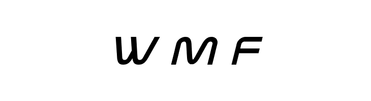 Fox on the Run Bold Italic  Free Fonts Download