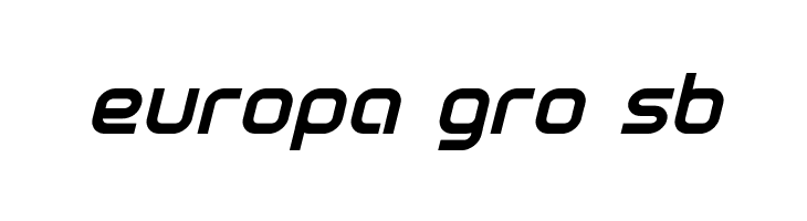 Fox on the Run Bold Italic  Free Fonts Download