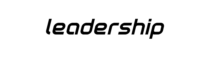 Fox on the Run Bold Italic  Free Fonts Download