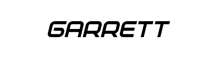 Fox on the Run Extra-Bold Italic  Free Fonts Download