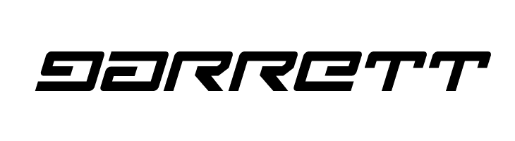 Legion Bold Italic  Free Fonts Download