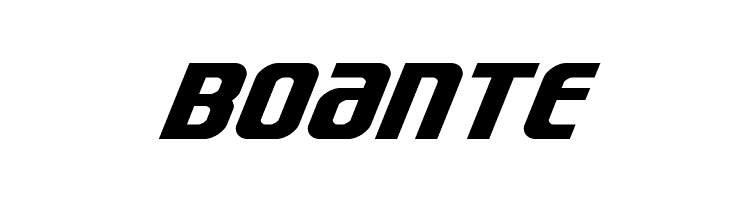 Lightsider Italic  Free Fonts Download