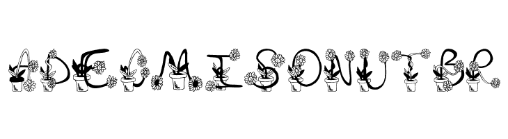 Sunflowers  Free Fonts Download