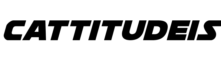 Soloist Italic  Free Fonts Download