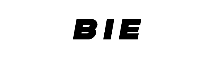 Soloist Title  Free Fonts Download