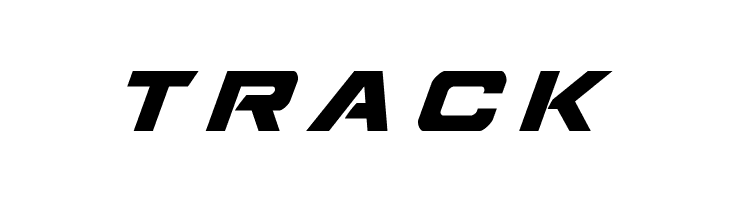 TRACK Starduster Title Italic Font
