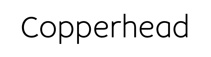 no_name_37_Light  Free Fonts Download