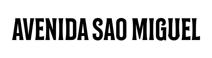 Bilcase Demo Demo  Free Fonts Download