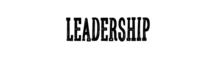 Sanek  Free Fonts Download