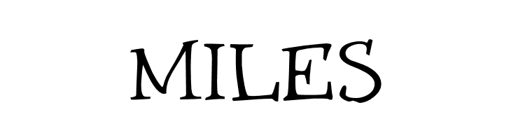 WinstonNero_Trial  Free Fonts Download