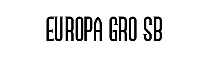 NamesakeNF  Free Fonts Download