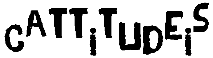 YES_shaken Book  Free Fonts Download